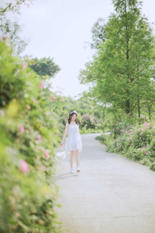 爱如潮水3免费观看